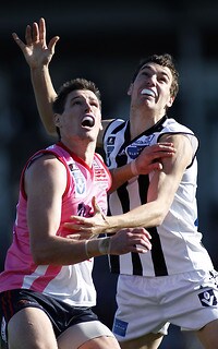 233272-tlsnewsportrait.jpg